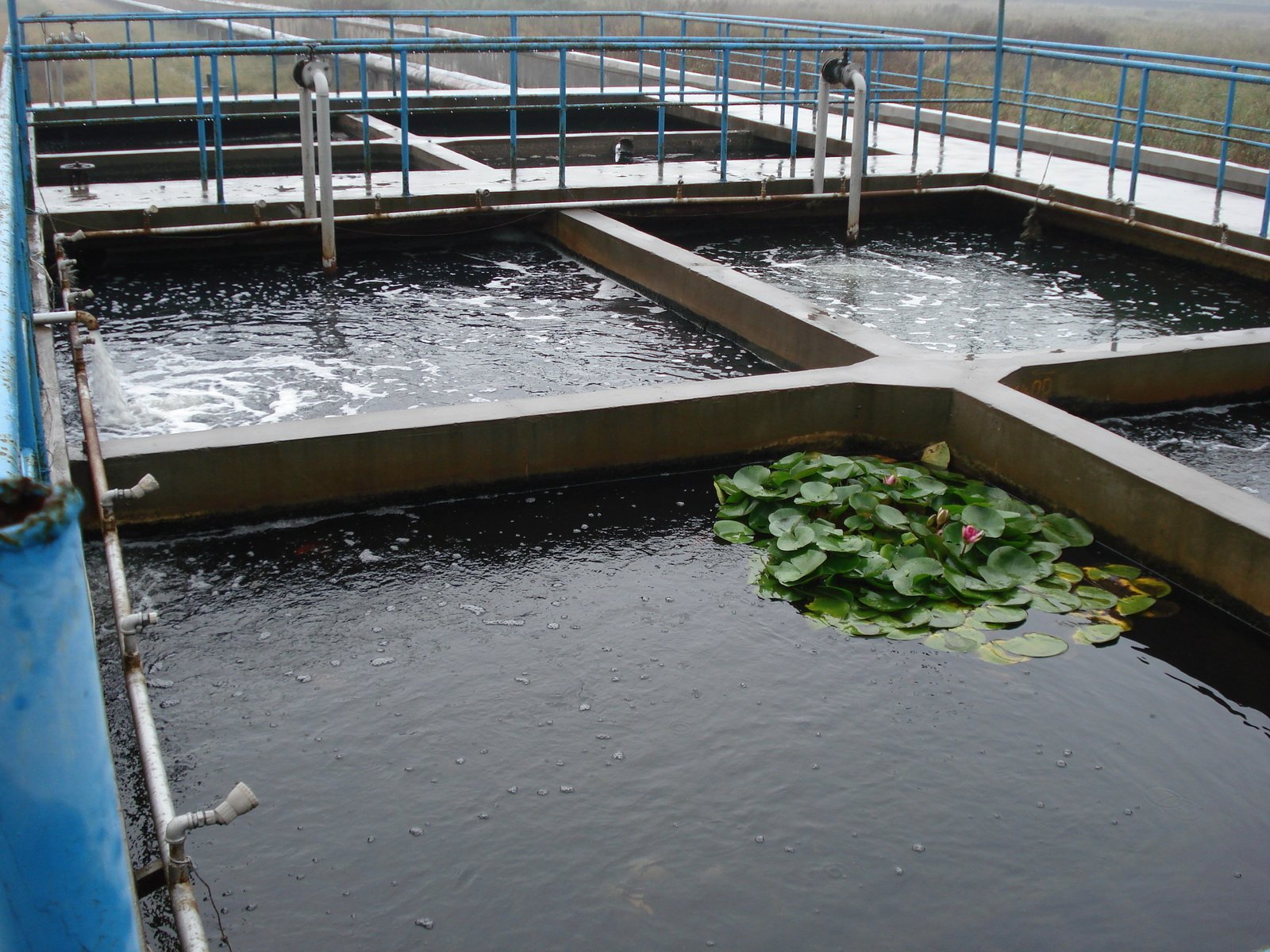 Food Processing Wastewater Treatment